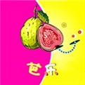 香蕉爱视频手机版下载大全