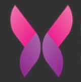 糟老头旧版本app
