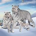 野生白虎家庭模拟Wild White Tiger Family Sim安卓版app免费下载